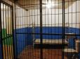 Хіти тижня. Карма: Гвалтівника-педофіла спіткали страшна розплата і смерть