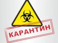 Хіти тижня. В Україні продовжать карантин: Коли вийдемо на роботу та що заборонять до липня