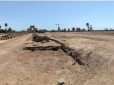 З архіву ПУ. Унікальна знахідка: Давньоєгипетський 