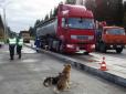 З архіву ПУ. Українське 