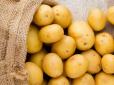 Дачникам на замітку! Коли краще садити картоплю - до чи після Великодня