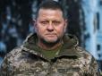 Соціолог оцінив, якими будуть результати виборів у разі участі Залужного