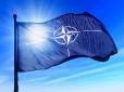 Путін радо потирає руки: Ще ніколи НАТО не був так близько до розпаду, - Bloomberg