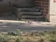 Немовля знайшли мертвим: В Одесі жінка викинула новонароджену дитину з вікна багатоповерхівки