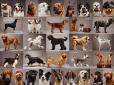 Вигідний варіант! ТОП-10 