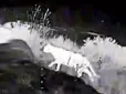 Секретна 