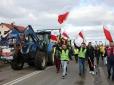 Поляки вже шкодують про заборону одного з українських товарів: Що сталось