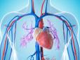 Кардіологи назвали просту звичку після 50, яка може захистити артерії краще за ліки
