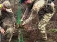 Окупанти, певно, пустили б на шашлик: Нацгвардійці поблизу лінії фронту врятували козулю, що заплуталася в антидроновій сітці (вiдео)
