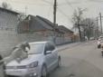 Намагався втекти: Водій збив військового ТЦК під час перевірки (відео)