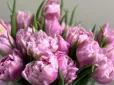 Є секрет! Як миттєво оживити зів'ялі тюльпани у вазі