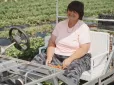 Зробила ставку на незвичну культуру і не прогадала: Історія фермерки з Харківщини