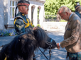 Король Чарльз потрапив у курйозну ситуацію, коли не знайшов підхід до поні у своєму замку (відео)